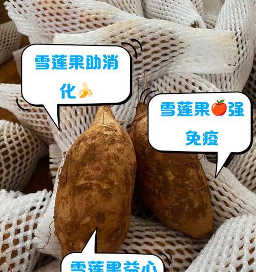 籽播雪莲发芽成长有哪些记录？养护雪莲有哪些心得？