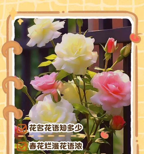 如何捕捉八角金盘四季的美态和情感？