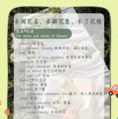 如何捕捉八角金盘四季的美态和情感？