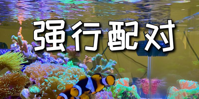 鱼儿受精方式是什么？