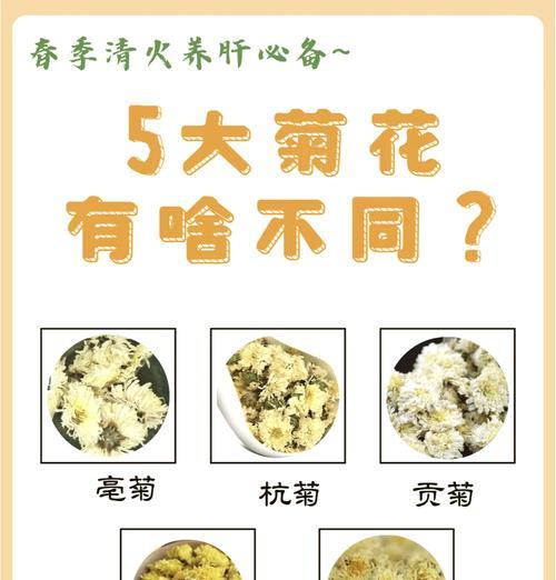菊花的品种数量有多少？