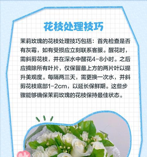 茉莉花养护指南有哪些实用技巧？