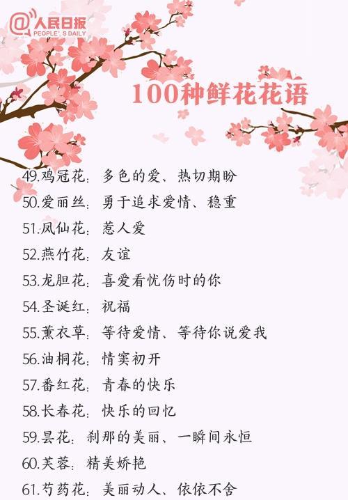 球兰新品种吉格斯有哪些特点？