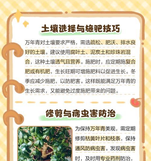 日本万年青的养殖方法是什么？