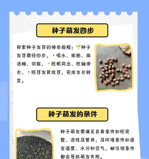 种子催芽有哪些小技巧？怎样让种子更快发芽？