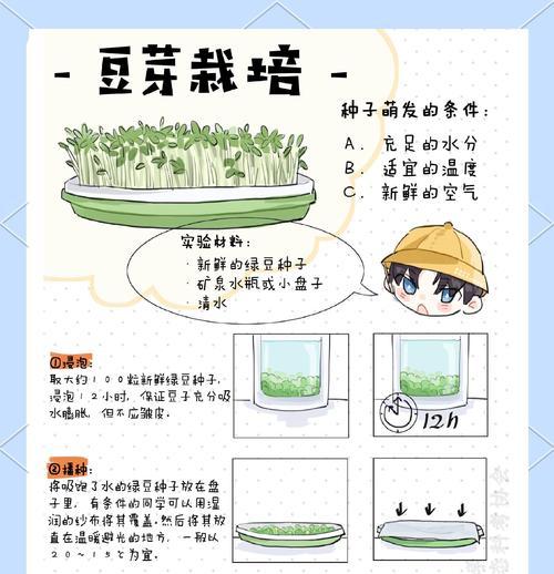 种子催芽有哪些小技巧？怎样让种子更快发芽？