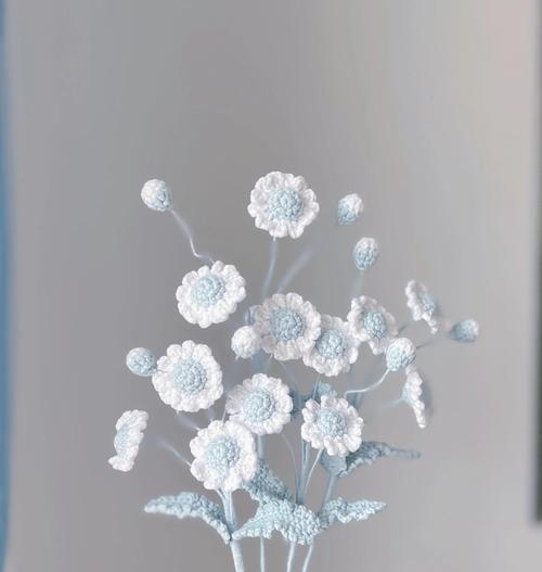 小雏菊修剪有哪些技巧？
