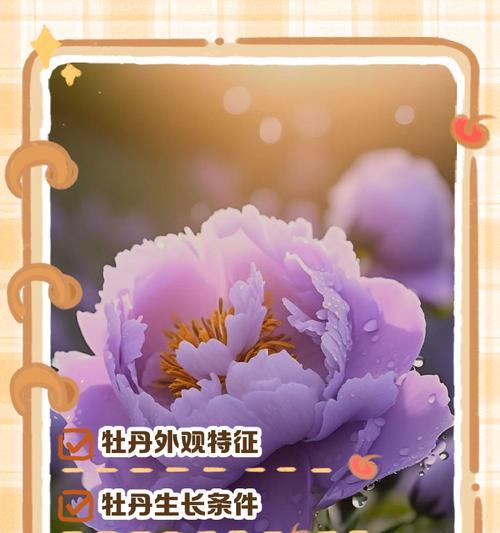 去年购买的重瓣牡丹花养护方法是什么？