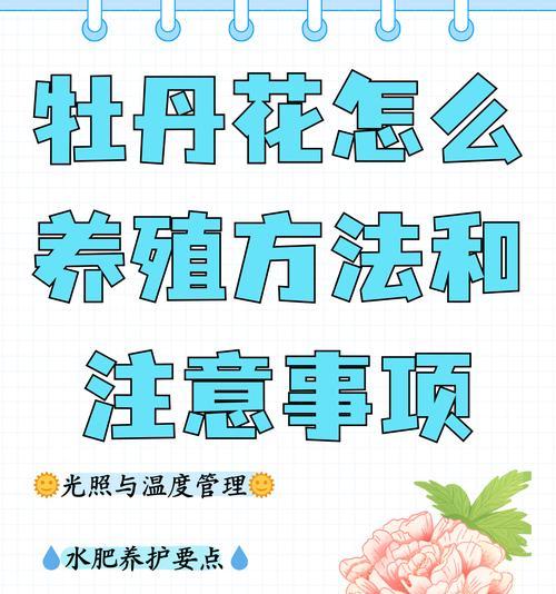 牡丹花的正确浇水方法是什么？