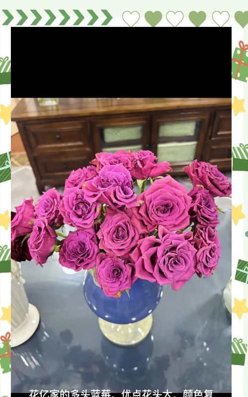 玫瑰花干枯后如何进行养护？