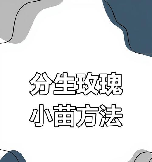 如何剪插新鲜玫瑰花？