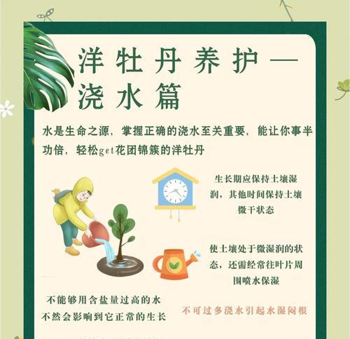 牡丹花在寒冷天气下如何进行养护？