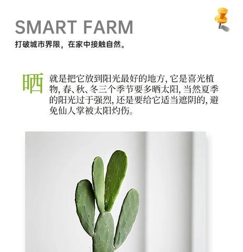 家中不能养仙人掌吗？如何正确养殖？