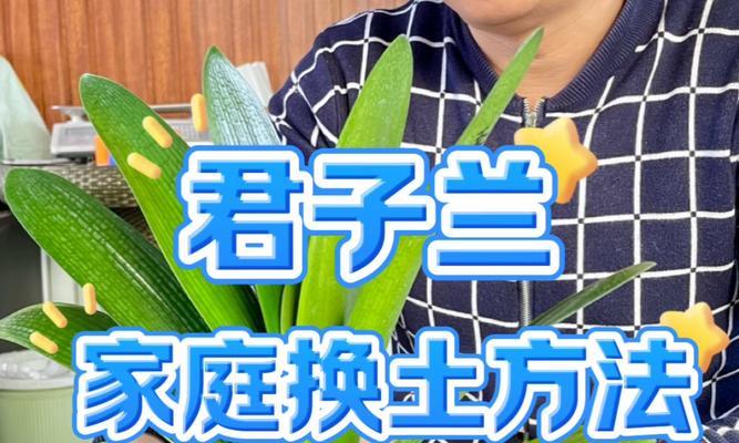 北京君子兰栽培用土有何特殊要求？