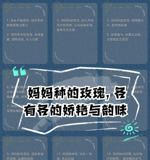养玫瑰花妈妈怎么养活？需要哪些条件？