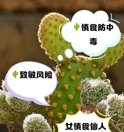 食用仙人掌种植怎么管理？有哪些注意事项？