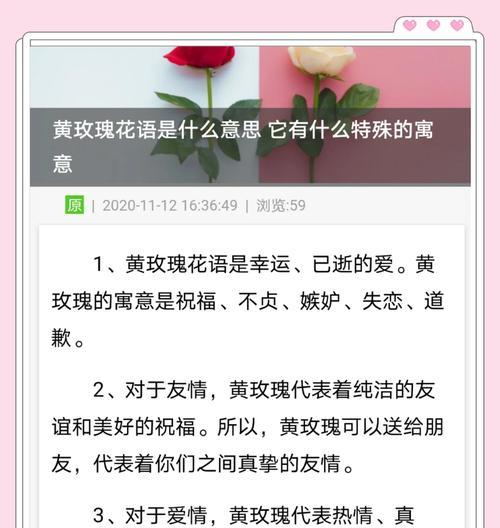 单瓣黄玫瑰花的养护技巧有哪些？