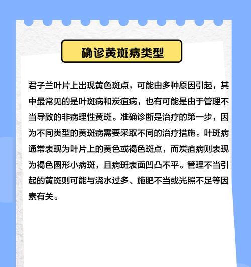 君子兰出现斑点可能是哪些原因造成的？