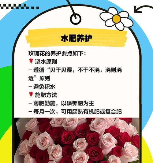 康乃馨玫瑰花养护浇水方法是什么？