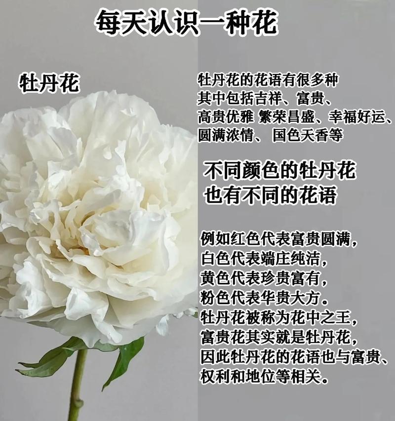 牡丹花枯萎的原因是什么？