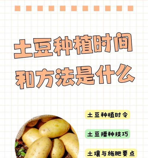 土豆玫瑰花的种植方法是什么？