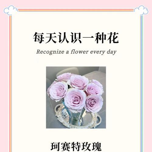 花种玫瑰花的养护技巧是什么？