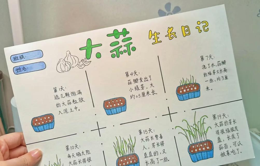 刚摘下的小仙人掌如何种植？种植步骤是什么？