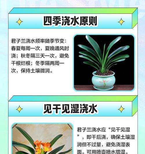 君子兰修剪后多久能长出新芽？如何促进生长？