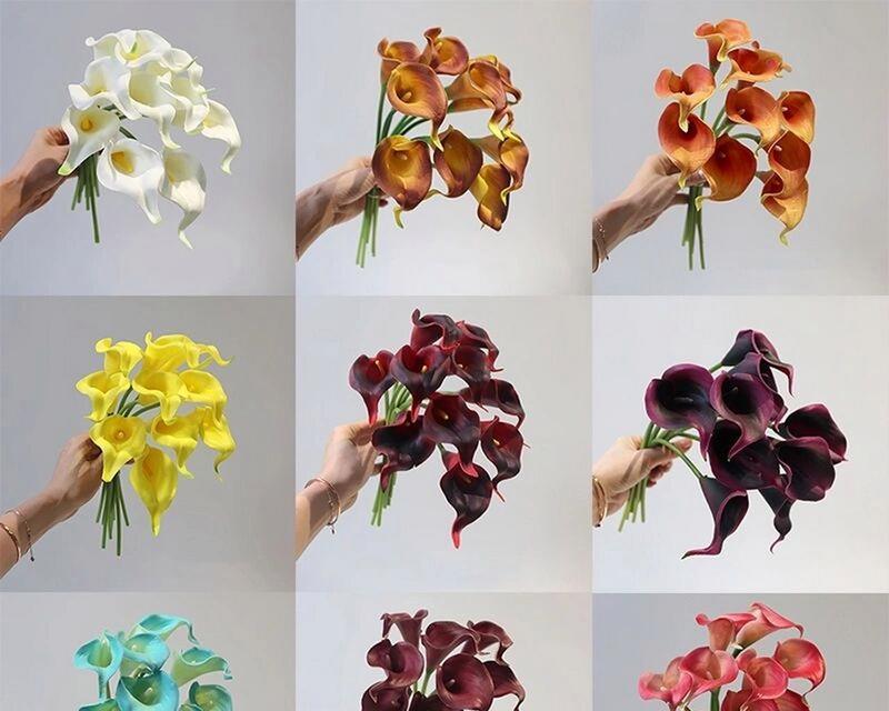 马蹄莲作为礼物的花语含义是什么？