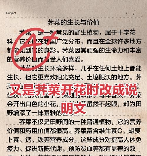 花芥菜花的花语代表什么？