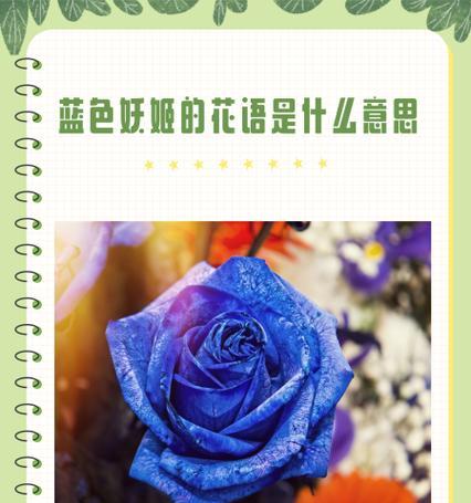蓝猪耳的花语有哪些含义？