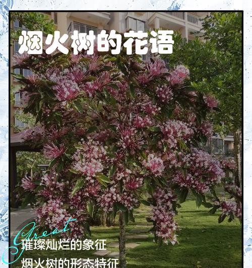 树的花语和象征意义是什么？