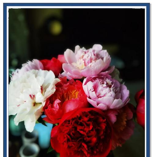 某人的花语代表了什么意思？