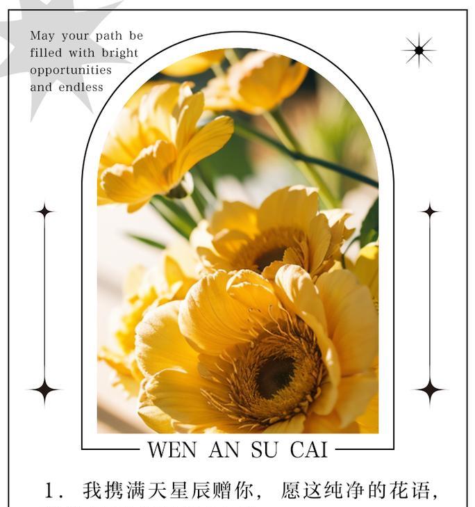 满天星的花语具体是什么？