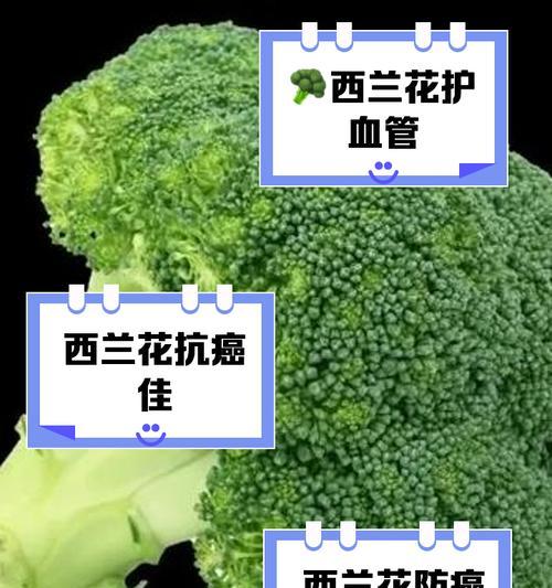 花语中的“菜”指的是什么？它有哪些含义？