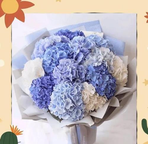 绣球花和玫瑰的花语有什么不同？它们各自代表了什么？