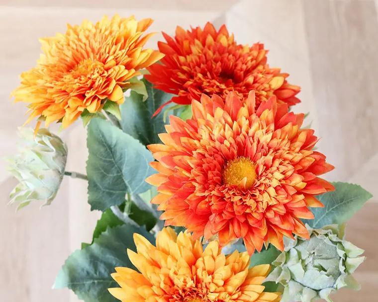 葱绒花的花语是什么？它有哪些特别含义？