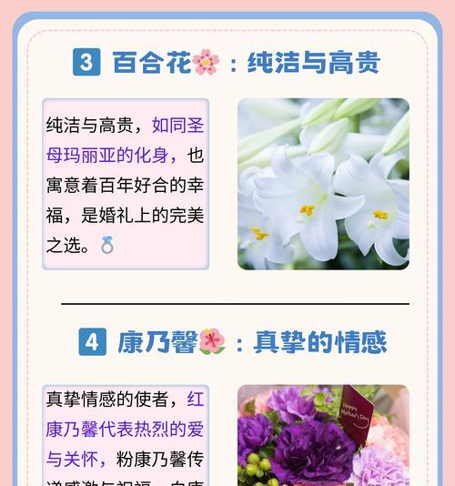 香花的花语有何不同？香花语通常表达什么？