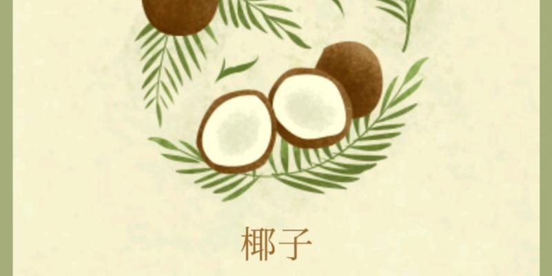 椰子鞋也有花语吗？椰子鞋的花语有何特别之处？