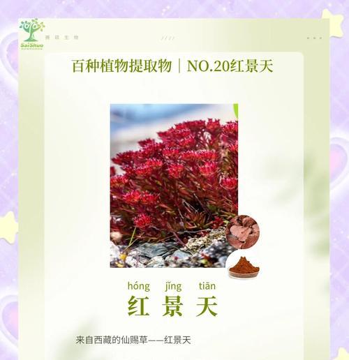 景天鲜花的花语有哪些？景天鲜花代表什么？