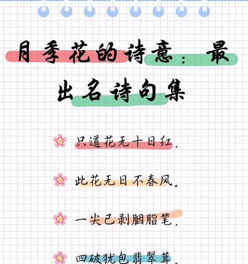 月季花语是什么？月季代表了哪些意义？