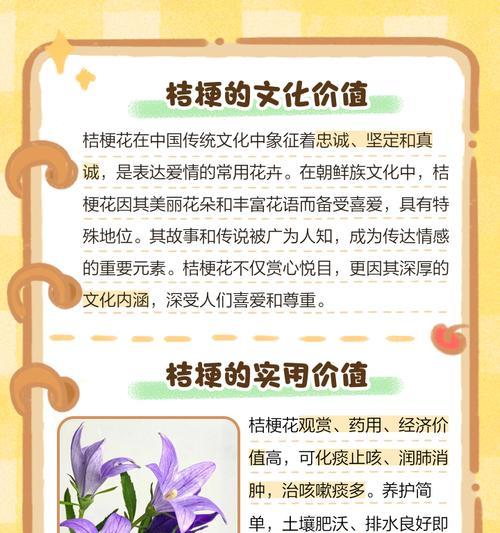 淡绿桔梗花语有何深意？淡绿桔梗象征着什么？