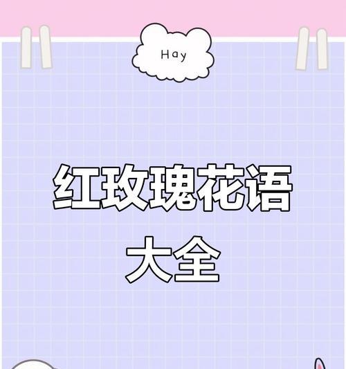 红玫瑰的花语是什么？红玫瑰代表了什么？