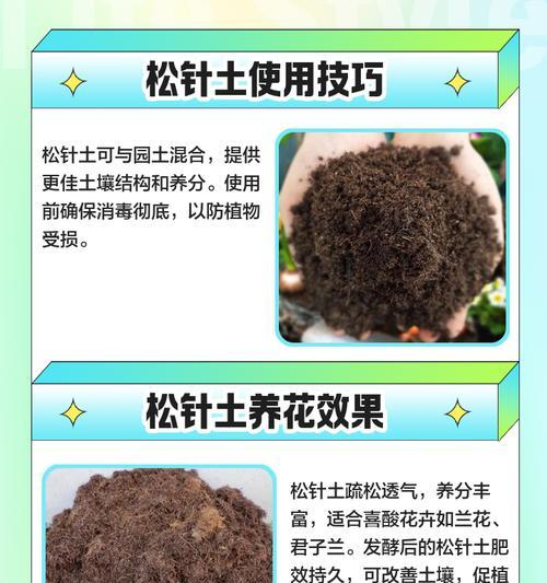 松针花的花语是什么？松针花代表了什么意义？