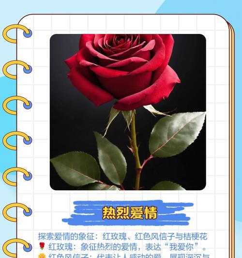 花语中的嫉妒的爱是什么意思？如何用花语表达嫉妒的爱？