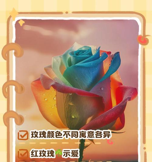 玫瑰代表什么花语？不同颜色玫瑰的含义有何不同？