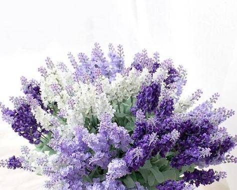 薰衣草花花语是什么？薰衣草在花语中代表什么？