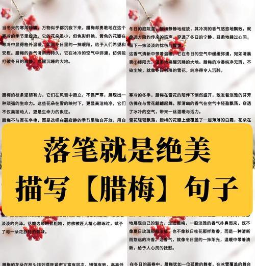 干腊梅花语是什么？腊梅在花语中象征着什么？