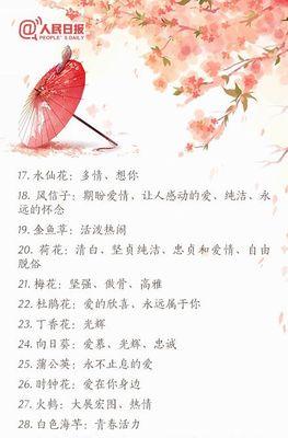 马约兰花语是什么？马约兰在花语中象征着什么？