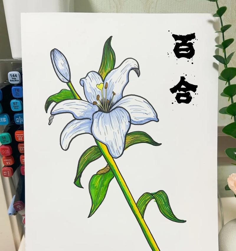 花语如何代表优雅？选择哪种花语最能体现优雅气质？